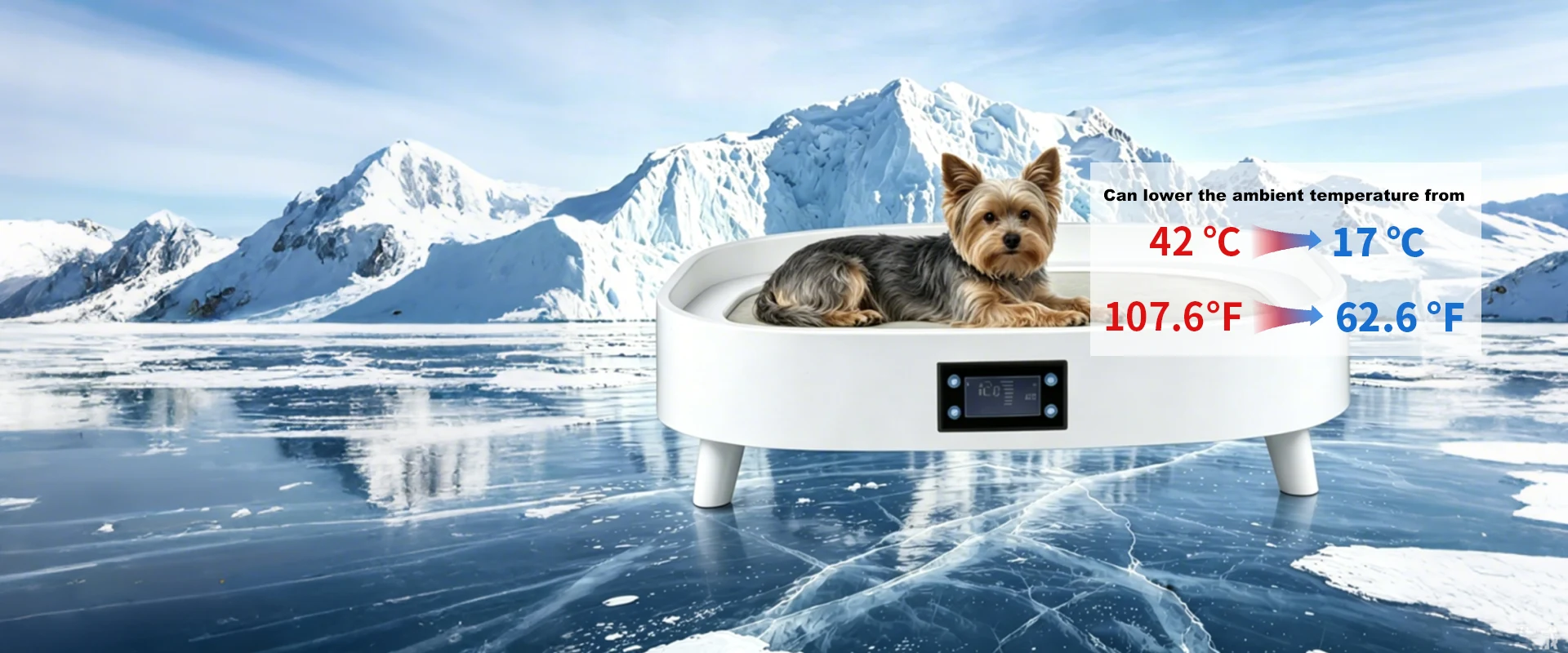 Lit pour fournisseur d'animaux de compagnie