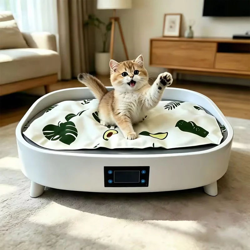 Lit pour chat pour l'été